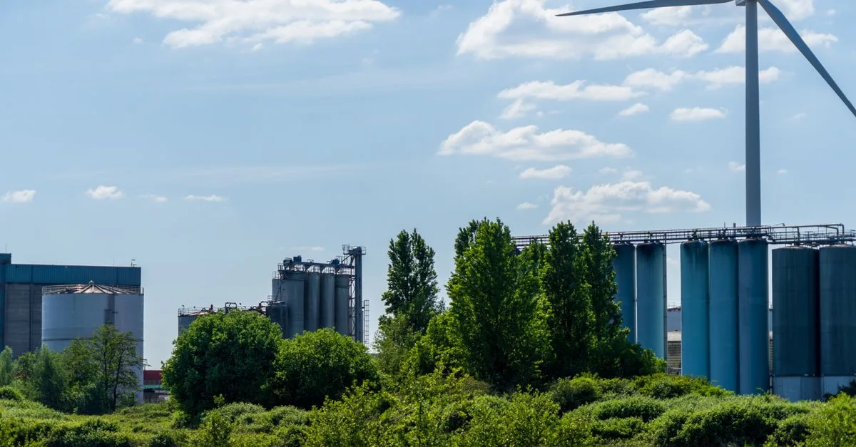 Site industriel engageant un projet de decarbonation eligible au mecanisme de capacite pluriannuel en 2026