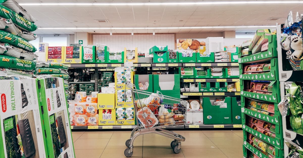 Dynamis Énergies, courtier en énergie pour commerce alimentaire