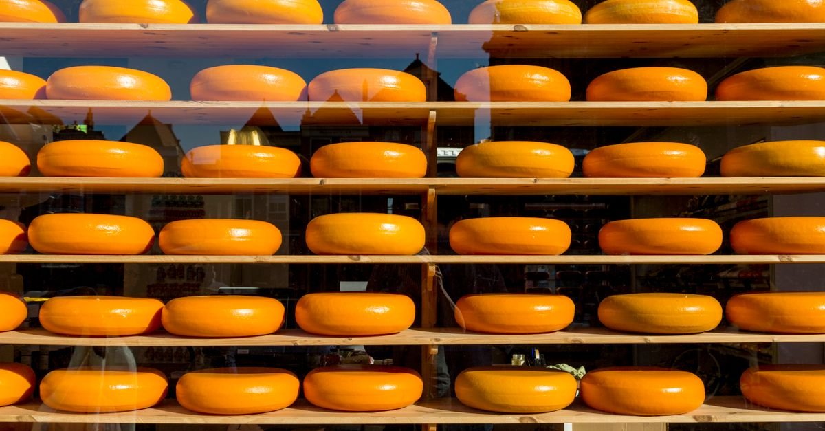 Dynamis Énergies, courtier en énergie pour fromagerie
